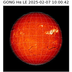 gong - 2025-02-07T10:00:42
