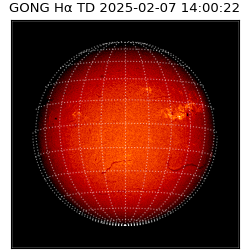 gong - 2025-02-07T14:00:22