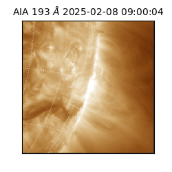 saia - 2025-02-08T09:00:04.843000