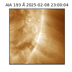 saia - 2025-02-08T23:00:04.843000