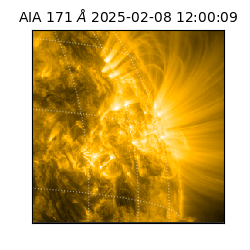 saia - 2025-02-08T12:00:09.350000