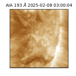 saia - 2025-02-08T03:00:04.843000