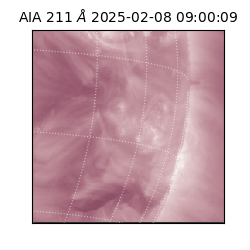 saia - 2025-02-08T09:00:09.622000