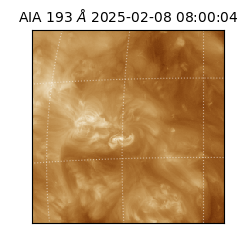 saia - 2025-02-08T08:00:04.843000