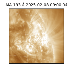 saia - 2025-02-08T09:00:04.843000