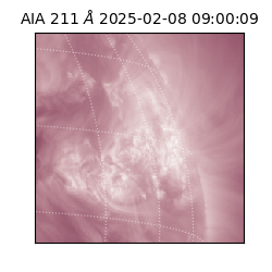 saia - 2025-02-08T09:00:09.622000