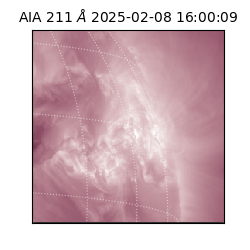 saia - 2025-02-08T16:00:09.626000