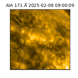 saia - 2025-02-08T09:00:09.350000