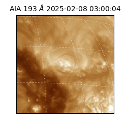 saia - 2025-02-08T03:00:04.843000