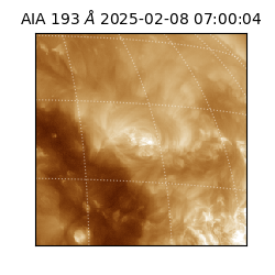saia - 2025-02-08T07:00:04.843000
