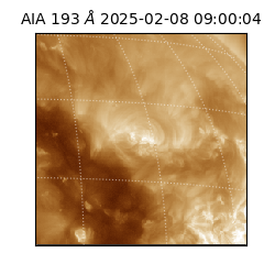 saia - 2025-02-08T09:00:04.843000