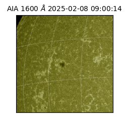 saia - 2025-02-08T09:00:14.126000