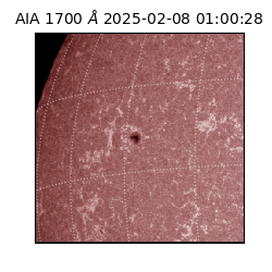 saia - 2025-02-08T01:00:28.718000