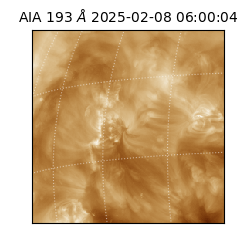 saia - 2025-02-08T06:00:04.843000