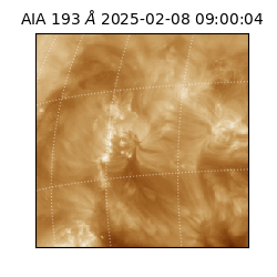 saia - 2025-02-08T09:00:04.843000