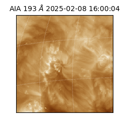 saia - 2025-02-08T16:00:04.843000