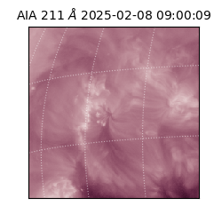 saia - 2025-02-08T09:00:09.622000