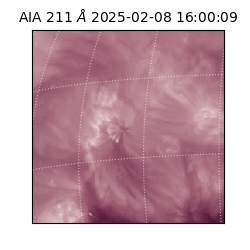 saia - 2025-02-08T16:00:09.626000