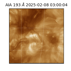 saia - 2025-02-08T03:00:04.843000