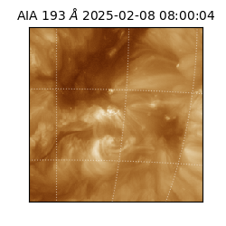 saia - 2025-02-08T08:00:04.843000