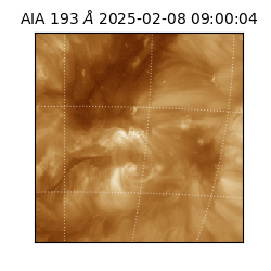 saia - 2025-02-08T09:00:04.843000