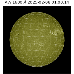 saia - 2025-02-08T01:00:14.126000