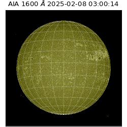 saia - 2025-02-08T03:00:14.125000