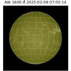 saia - 2025-02-08T07:00:14.125000