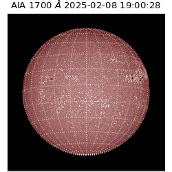 saia - 2025-02-08T19:00:28.718000