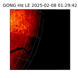 gong - 2025-02-08T01:29:42