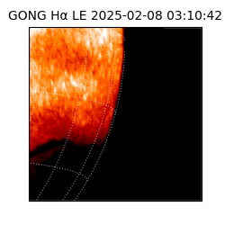 gong - 2025-02-08T03:10:42