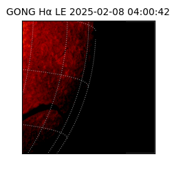 gong - 2025-02-08T04:00:42