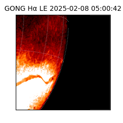gong - 2025-02-08T05:00:42