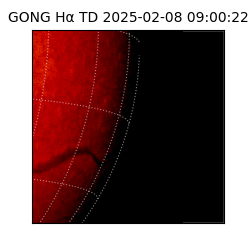 gong - 2025-02-08T09:00:22