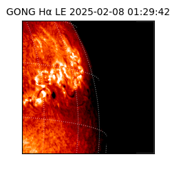 gong - 2025-02-08T01:29:42