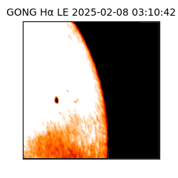 gong - 2025-02-08T03:10:42
