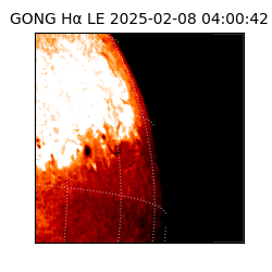 gong - 2025-02-08T04:00:42