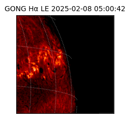 gong - 2025-02-08T05:00:42