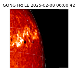 gong - 2025-02-08T06:00:42