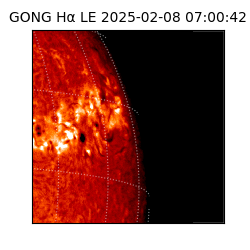 gong - 2025-02-08T07:00:42