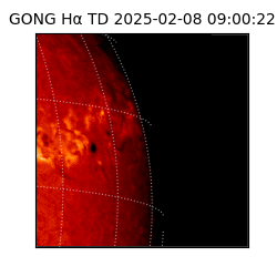 gong - 2025-02-08T09:00:22