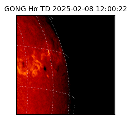 gong - 2025-02-08T12:00:22