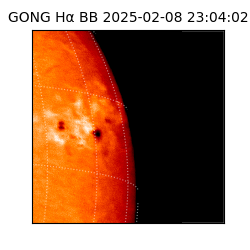 gong - 2025-02-08T23:04:02