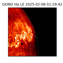 gong - 2025-02-08T01:29:42
