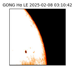 gong - 2025-02-08T03:10:42