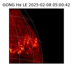gong - 2025-02-08T05:00:42