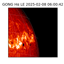 gong - 2025-02-08T06:00:42