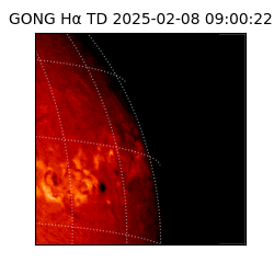 gong - 2025-02-08T09:00:22
