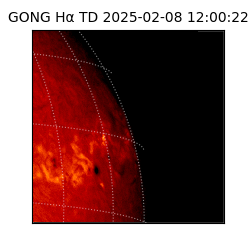 gong - 2025-02-08T12:00:22