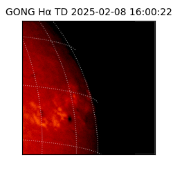 gong - 2025-02-08T16:00:22
